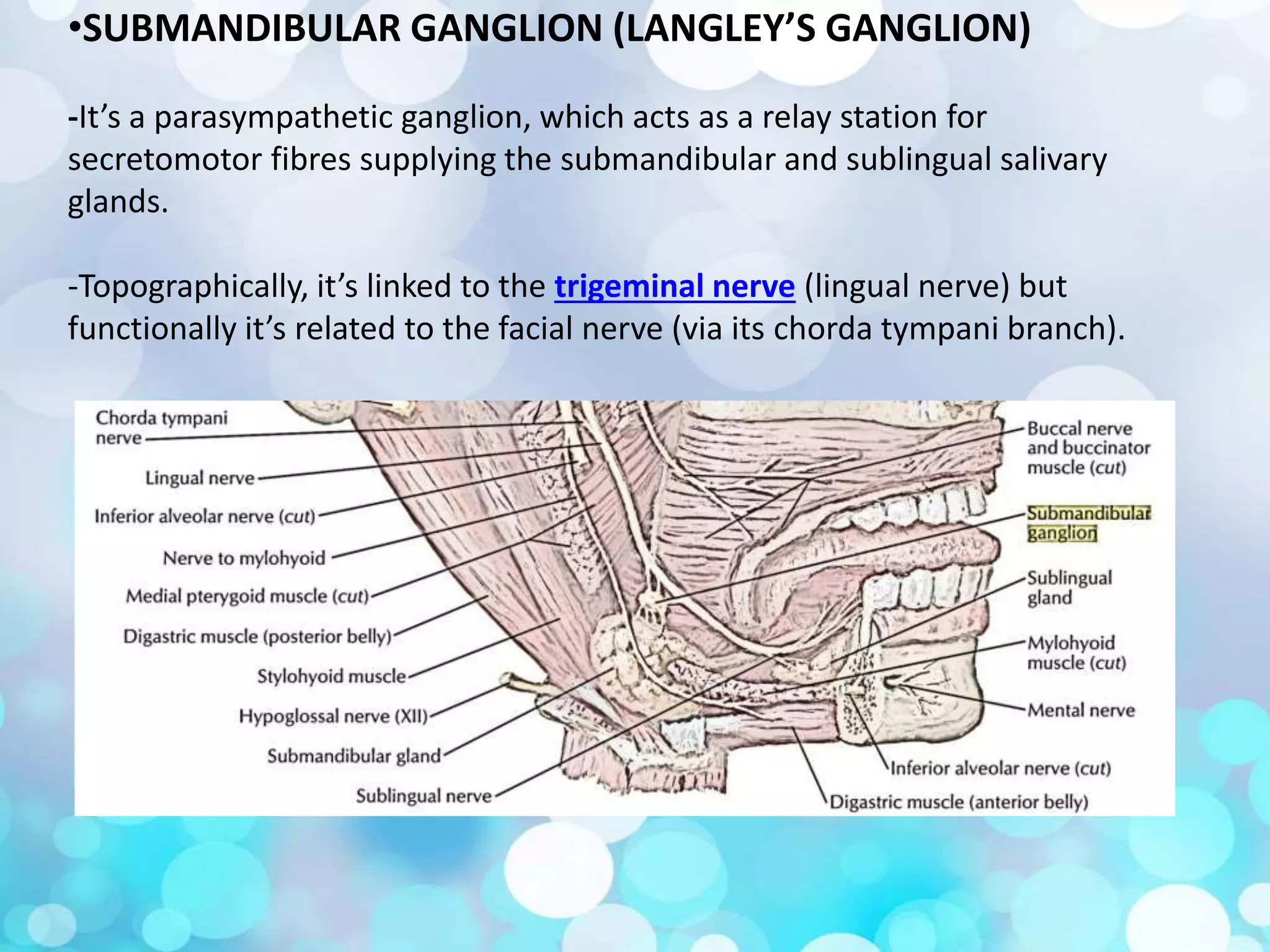 Surgical anatomy of salivary glands | PPTX