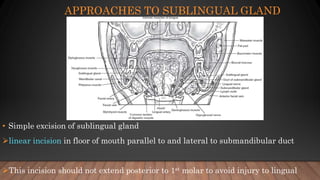 Sublabial Excision Surgical anatomy of salivary glands | PPTX