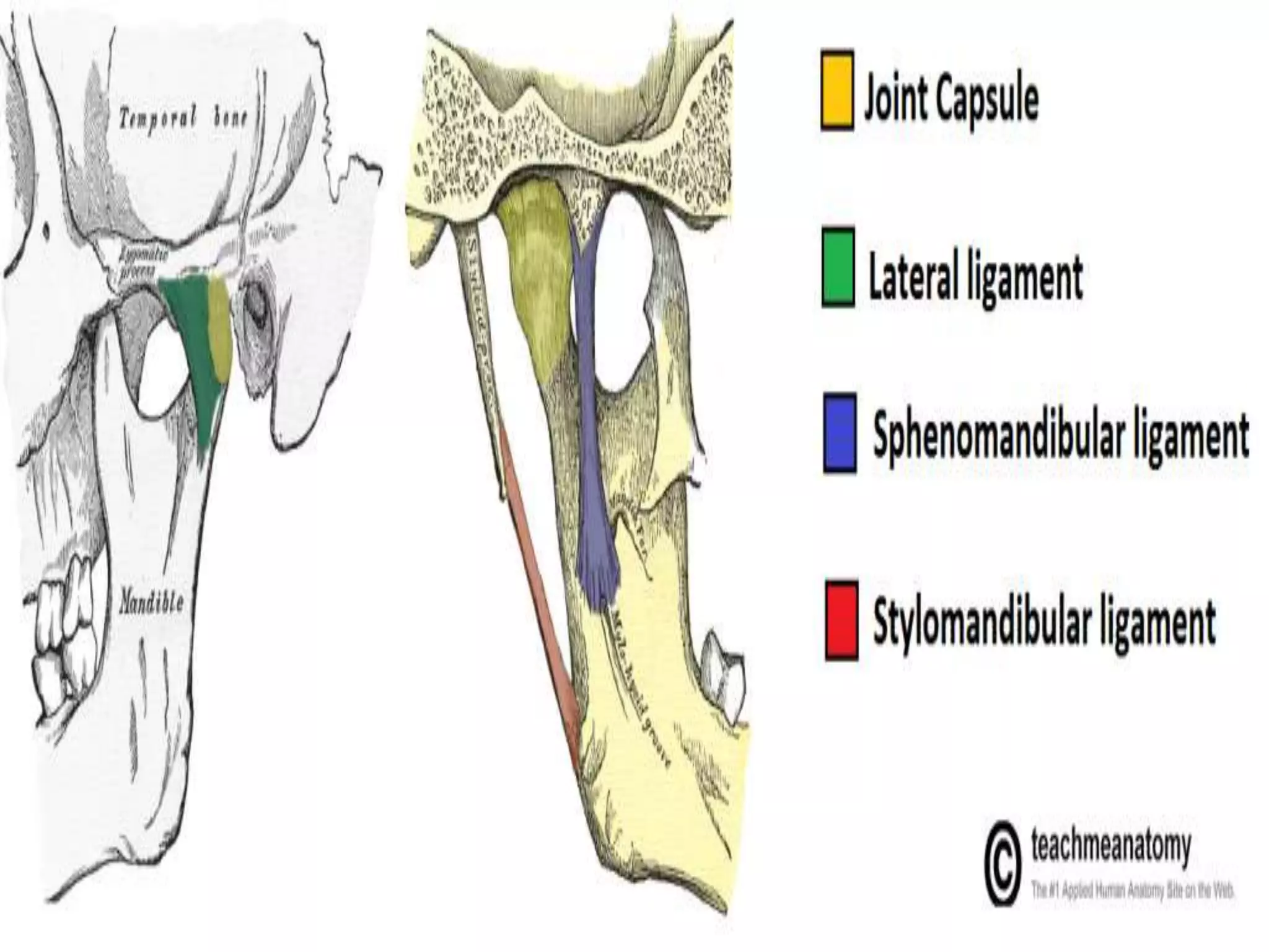 SURGICAL ANATOMY OF TEMPOROMANDIBULAR JOINT.pptx