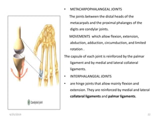 Surgical anatomy of the hand copy - copy | PPTX