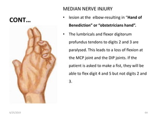 Surgical anatomy of the hand copy - copy | PPTX
