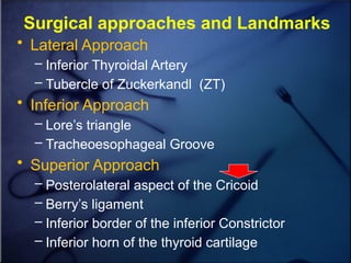 Surgical anatomy of thyroid and lab tests.pptx