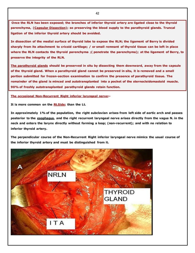 Surgical anatomy of thyroid and parathyroid glands. hazem el folldocx | PDF