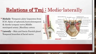 Tmj Line Surgical anatomy of tmj | PPTX