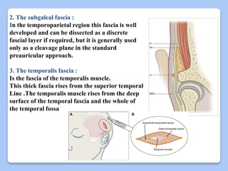 Surgical anatomy of tmj.pptx