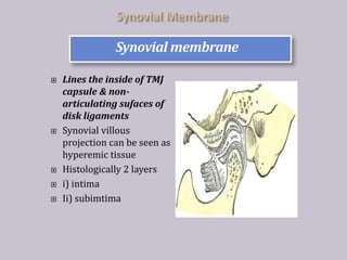 Tmj Line Surgical anatomy of temporomandibular joint | PPTX