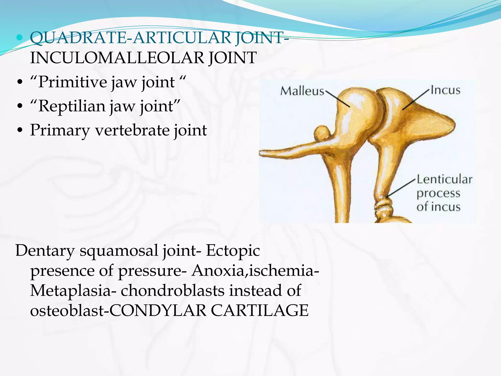 Greater Multangular Joint Surgical anatomy of tmj & its approaches | PPT