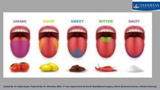 Surgical Anatomy of Tongue.pptx