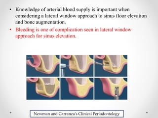 IMPORTANT ANATOMICAL CONSIDERATIONS IN PERIODONTAL SURGERY AND IMPLANTS ...