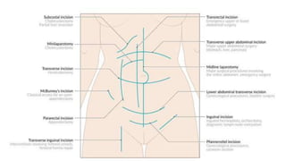 SURGICAL APPROACHES,INCISIONS AND USE OF APPROPRIATE.pptx