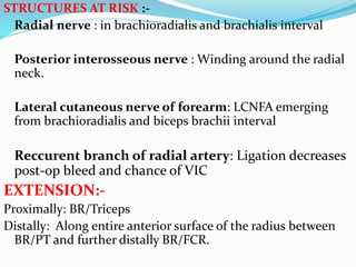 STRUCTURES AT RISK :-
Radial nerve : in brachioradialis and brachialis interval
Posterior interosseous nerve : Winding around the radial
neck.
Lateral cutaneous nerve of forearm: LCNFA emerging
from brachioradialis and biceps brachii interval
Reccurent branch of radial artery: Ligation decreases
post-op bleed and chance of VIC
EXTENSION:-
Proximally: BR/Triceps
Distally: Along entire anterior surface of the radius between
BR/PT and further distally BR/FCR.
 
