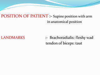 POSITION OF PATIENT :- Supine position with arm
in anatomical position
LANDMARKS :- Brachoradialis: fleshy wad
tendon of biceps: taut
 