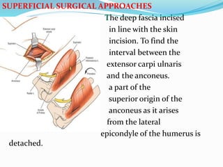 SUPERFICIAL SURGICAL APPROACHES
The deep fascia incised
in line with the skin
incision. To find the
interval between the
extensor carpi ulnaris
and the anconeus.
a part of the
superior origin of the
anconeus as it arises
from the lateral
epicondyle of the humerus is
detached.
 