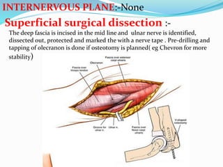INTERNERVOUS PLANE:-None
Superficial surgical dissection :-
The deep fascia is incised in the mid line and ulnar nerve is identified,
dissected out, protected and marked the with a nerve tape . Pre-drilling and
tapping of olecranon is done if osteotomy is planned( eg Chevron for more
stability)
 
