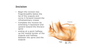 Spine Incision Surgical approaches to the human spine.pptx