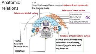 Oprative Approach Surgical approach to thyroid and post operative care | PDF