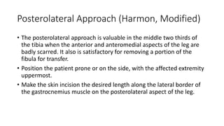 Posterolateral Approach (Harmon, Modified)
• The posterolateral approach is valuable in the middle two thirds of
the tibia when the anterior and anteromedial aspects of the leg are
badly scarred. It also is satisfactory for removing a portion of the
fibula for transfer.
• Position the patient prone or on the side, with the affected extremity
uppermost.
• Make the skin incision the desired length along the lateral border of
the gastrocnemius muscle on the posterolateral aspect of the leg.
 