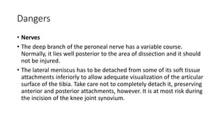 Dangers
• Nerves
• The deep branch of the peroneal nerve has a variable course.
Normally, it lies well posterior to the area of dissection and it should
not be injured.
• The lateral meniscus has to be detached from some of its soft tissue
attachments inferiorly to allow adequate visualization of the articular
surface of the tibia. Take care not to completely detach it, preserving
anterior and posterior attachments, however. It is at most risk during
the incision of the knee joint synovium.
 