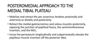 POSTEROMEDIAL APPROACH TO THE
MEDIAL TIBIAL PLATEAU
• Mobilize and retract the pes anserinus tendons proximally and
anteriorly or distally and posteriorly.
• Retract the medial gastrocnemius and soleus muscles posteriorly,
exposing the junction of popliteal fascia, the semimembranosus
insertion, and the MCL.
• Incise the periosteum longitudinally and subperiosteally elevate the
popliteus muscle insertion off the posterior tibia.
 