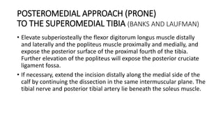 POSTEROMEDIAL APPROACH (PRONE)
TO THE SUPEROMEDIAL TIBIA (BANKS AND LAUFMAN)
• Elevate subperiosteally the flexor digitorum longus muscle distally
and laterally and the popliteus muscle proximally and medially, and
expose the posterior surface of the proximal fourth of the tibia.
Further elevation of the popliteus will expose the posterior cruciate
ligament fossa.
• If necessary, extend the incision distally along the medial side of the
calf by continuing the dissection in the same intermuscular plane. The
tibial nerve and posterior tibial artery lie beneath the soleus muscle.
 