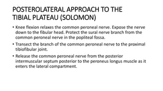 POSTEROLATERAL APPROACH TO THE
TIBIAL PLATEAU (SOLOMON)
• Knee flexion relaxes the common peroneal nerve. Expose the nerve
down to the fibular head. Protect the sural nerve branch from the
common peroneal nerve in the popliteal fossa.
• Transect the branch of the common peroneal nerve to the proximal
tibiofibular joint.
• Release the common peroneal nerve from the posterior
intermuscular septum posterior to the peroneus longus muscle as it
enters the lateral compartment.
 