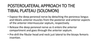 POSTEROLATERAL APPROACH TO THE
TIBIAL PLATEAU (SOLOMON)
• Expose the deep peroneal nerve by detaching the peroneus longus
and tibialis anterior muscles from the posterior and anterior aspects
of the anterior intermuscular septum, respectively.
• Release the deep peroneal nerve as it enters the anterior
compartment and goes through the anterior septum.
• Pre-drill the fibular head and neck just lateral to the biceps femoris
insertion.
 
