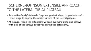 TSCHERNE-JOHNSON EXTENSILE APPROACH
TO THE LATERAL TIBIAL PLATEAU
• Rotate the Gerdy’s tubercle fragment posteriorly on its posterior soft-
tissue hinge to expose the under surface of the lateral plateau.
• At closure, repair the osteotomy with an overlying plate and screws
with one of the screws directly repairing the osteotomy.
 