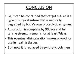 CONCLUSION
• So, it can be concluded that catgut suture is a
type of surgical suture that is naturally
degraded by body’s own proteolytic enzymes.
• Absorption is complete by 90days and full
tensile strength remains for at least 7days.
• This eventual disintegration makes a good for
use in healing tissues.
• But, now it is replaced by synthetic polymers.
 