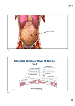 Surgical consideration | PDF