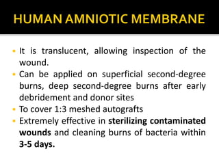  It is translucent, allowing inspection of the 
wound. 
 Can be applied on superficial second-degree 
burns, deep second-degree burns after early 
debridement and donor sites 
 To cover 1:3 meshed autografts 
 Extremely effective in sterilizing contaminated 
wounds and cleaning burns of bacteria within 
3-5 days. 
 