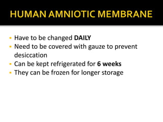  Have to be changed DAILY 
 Need to be covered with gauze to prevent 
desiccation 
 Can be kept refrigerated for 6 weeks 
 They can be frozen for longer storage 
 