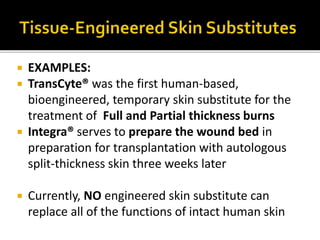  EXAMPLES: 
 TransCyte® was the first human-based, 
bioengineered, temporary skin substitute for the 
treatment of Full and Partial thickness burns 
 Integra® serves to prepare the wound bed in 
preparation for transplantation with autologous 
split-thickness skin three weeks later 
 Currently, NO engineered skin substitute can 
replace all of the functions of intact human skin 
 