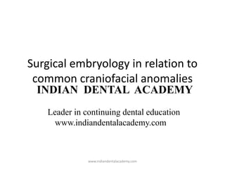 Surgical embryology in relation to
common craniofacial anomalies
INDIAN DENTAL ACADEMY
Leader in continuing dental education
www.indiandentalacademy.com

www.indiandentalacademy.com

 