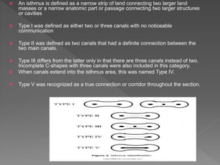  An isthmus is defined as a narrow strip of land connecting two larger land
masses or a narrow anatomic part or passage connecting two larger structures
or cavities
 Type I was defined as either two or three canals with no noticeable
communication
 Type II was defined as two canals that had a definite connection between the
two main canals.
 Type III differs from the latter only in that there are three canals instead of two.
Incomplete C-shapes with three canals were also included in this category.
 When canals extend into the isthmus area, this was named Type IV.
 Type V was recognized as a true connection or corridor throughout the section.
 