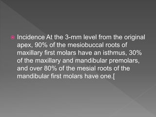  Incidence At the 3-mm level from the original
apex, 90% of the mesiobuccal roots of
maxillary first molars have an isthmus, 30%
of the maxillary and mandibular premolars,
and over 80% of the mesial roots of the
mandibular first molars have one.[
 