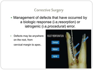 Cervical Roots Surgical Endodontics | PPTX