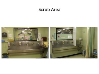 Scrub Area
 