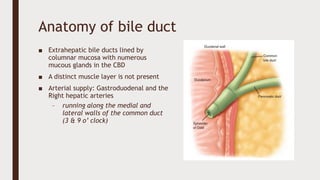 SURGICAL EXPLORATION OF THE COMMON BILE DUCT pptx surgical-exploration-of-the-common-bile-duct-pptx
