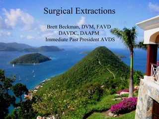 SurgicalExtractions Brett Beckman, DVM, FAVD  DAVDC, DAAPM Immediate Past President AVDS 