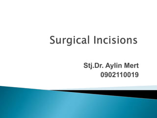 Stj.Dr. Aylin Mert
0902110019
 