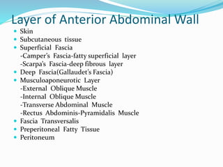 Layer of Anterior Abdominal Wall
 Skin
 Subcutaneous tissue
 Superficial Fascia
-Camper’s Fascia-fatty superficial layer
-Scarpa’s Fascia-deep fibrous layer
 Deep Fascia(Gallaudet’s Fascia)
 Musculoaponeurotic Layer
-External Oblique Muscle
-Internal Oblique Muscle
-Transverse Abdominal Muscle
-Rectus Abdominis-Pyramidalis Muscle
 Fascia Transversalis
 Preperitoneal Fatty Tissue
 Peritoneum
 
