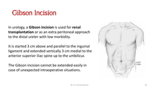Surgical incisions