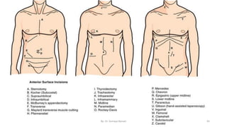 Surgical incisions