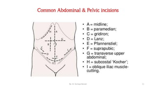 Surgical incisions | PPT