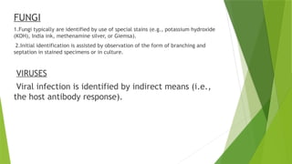 What Is Ink Infection Surgical Infection- etiology, pathogenesis, prevention and treatment.pptx