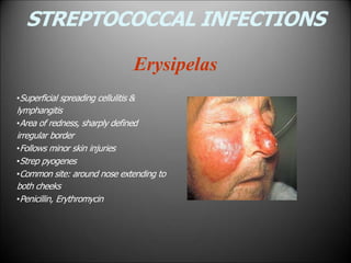 STREPTOCOCCAL INFECTIONS
Erysipelas
•Superficial spreading cellulitis &
lymphangitis
•Area of redness, sharply defined
irregular border
•Follows minor skin injuries
•Strep pyogenes
•Common site: around nose extending to
both cheeks
•Penicillin, Erythromycin
 