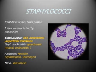STAPHYLOCOCCI
Inhabitants of skin, Gram positive
Infection characterized by
suppuration
Staph.aureus- SSI, nosocomial
,superficial infections
Staph. epidermidis- opportunistic
(wound, endocarditis )
Antibiotics: Penicillin,
Cephalosporin, Vancomycin
MRSA: Vancomycin
 