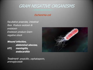 GRAM NEGATIVE ORGANISMS
( Enterobactericiae )
Escherichia coli
Facultative anaerobe, Intestinal
flora Produce exotoxin &
endotoxin
Endotoxin produce Gram-
negative shock
Wound infection,
abdominal abscess,
UTI, meningitis,
endocarditis
Treatment- ampicillin, cephalosporin,
aminoglycoside
 