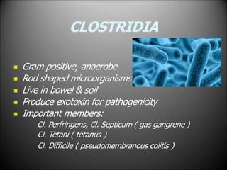 CLOSTRIDIA





Gram positive, anaerobe
Rod shaped microorganisms
Live in bowel & soil
Produce exotoxin for pathogenicity
Important members:
Cl. Perfringens, Cl. Septicum ( gas gangrene )
Cl. Tetani ( tetanus )
Cl. Difficile ( pseudomembranous colitis )
 