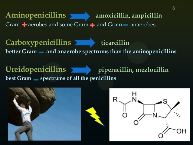 Amoxicillin Ampicillin Better